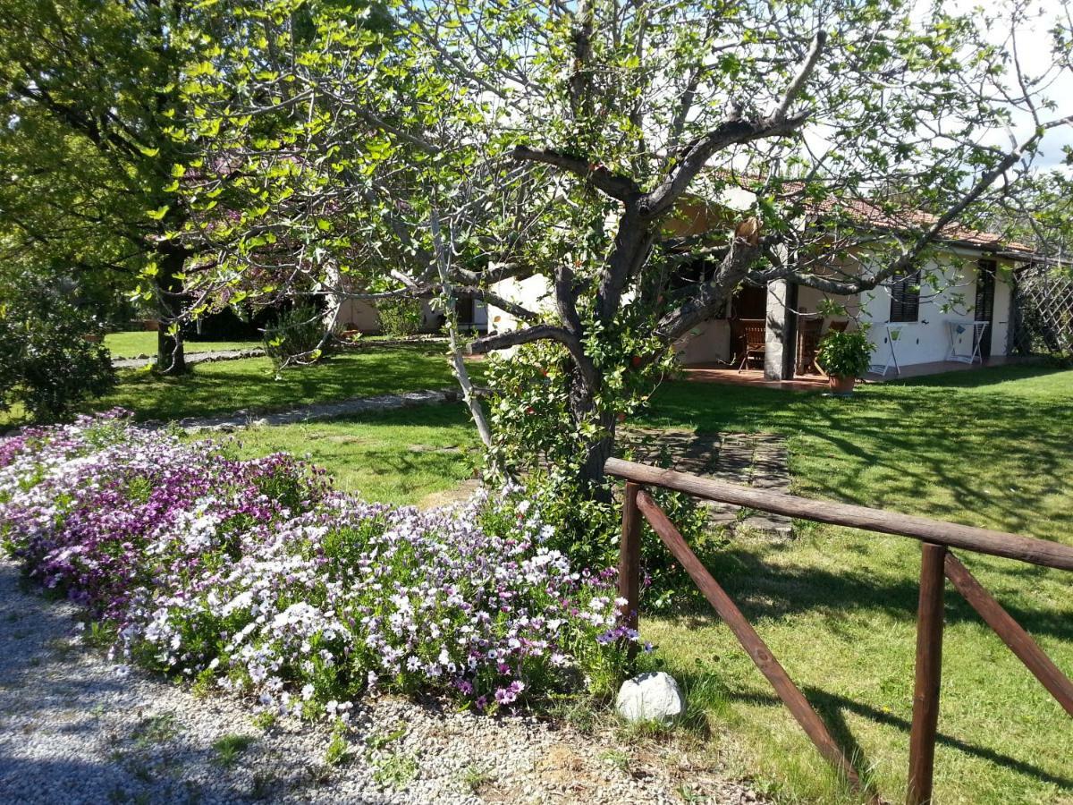 Agriturismo Sicomoro Villa Capalbio Exterior foto